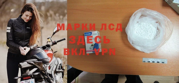 индика Нязепетровск