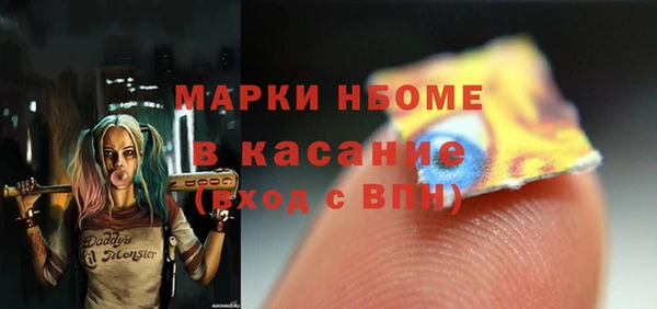 индика Нязепетровск