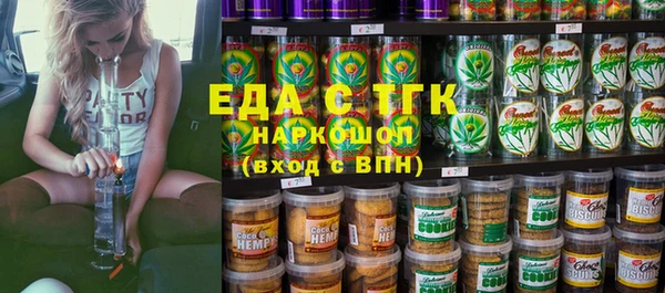 индика Нязепетровск