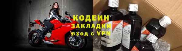 индика Нязепетровск