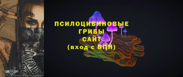 индика Нязепетровск