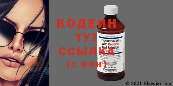 индика Нязепетровск