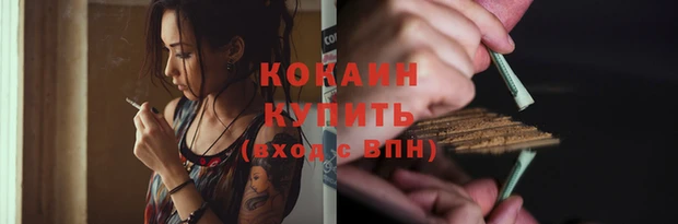 индика Нязепетровск