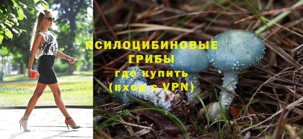 мяу мяу кристалл Няндома