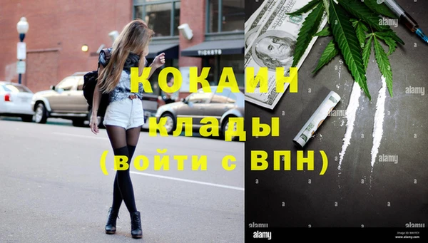 мяу мяу кристалл Няндома