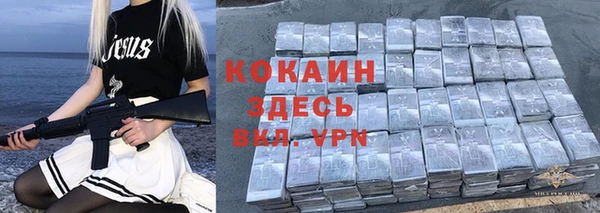 индика Нязепетровск